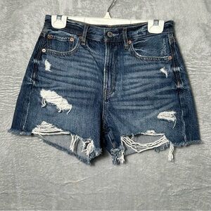 American Eagle Shorts Womens 4 Blue 90s Boyfriend Distressed Denim Spring Break
